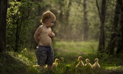 The child animal whisperers - PHOTO