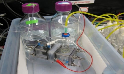 How to make petrol with bacteria - VIDEO