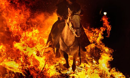 Horses leap fires in ancient Spanish festival - PHOTO