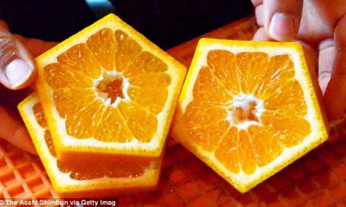 Farmers create pentagon-shaped fruit - PHOTO