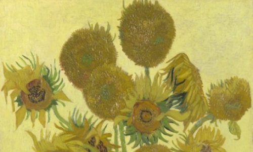 How Van Gogh's Sunflowers came into bloom