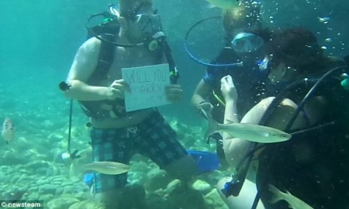 Man popped the question by writing 'will you marry me?' - PHOTO+VIDEO