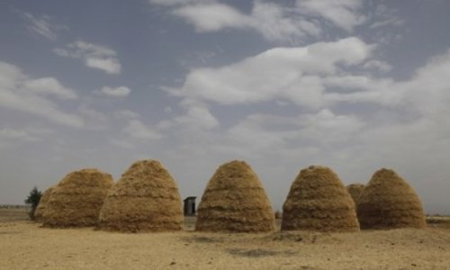 Move over quinoa, Ethiopia's teff poised to be next big super grain