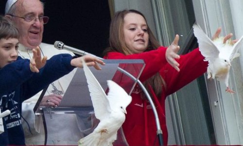 Angry birds! Pope's peace doves attacked - PHOTO