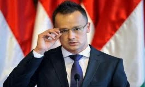 Hungarian official holds talks on water reservoir, data centre in Baku