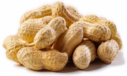New treatment for peanut allergy declared a success
