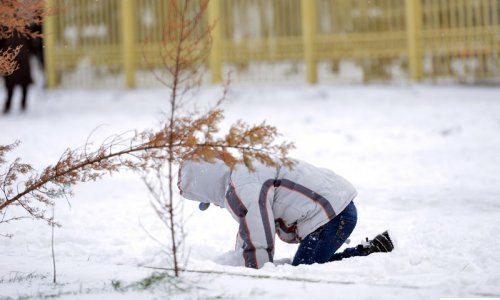 Winter snow - happy time for kids - PHOTO