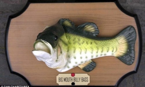 Novelty singing fish Big Mouth Billy Bass scares off burglar at tackle shop