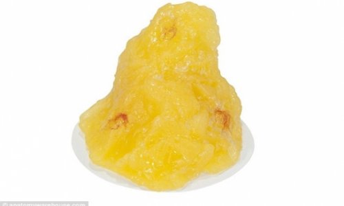 What a single pound of human fat looks like