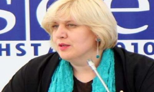 Dunja Miyatovic calls on Turkish president to veto Internet Law