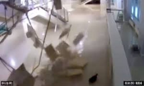 Cat appears to cause Sochi arena ceiling to collapse - VIDEO