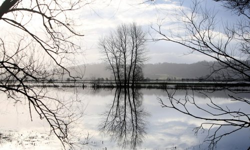 Stunning images of the submerged Somerset Levels - PHOTO