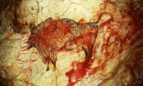 Altamira cave paintings to be opened to the public once again - PHOTO
