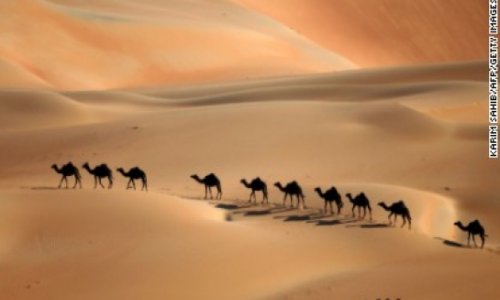 Do camel bones discredit the bible?