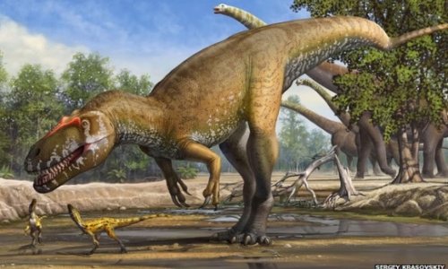 Ferocious dino was European giant