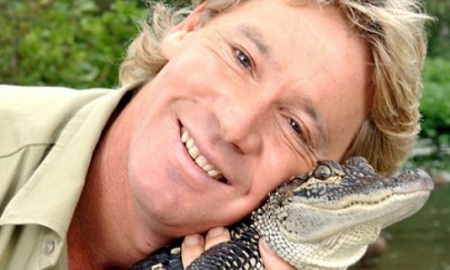 Steve Irwin could not have been saved, says witness to stingray attack
