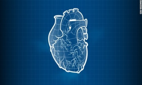 Lungs on a chip, 3-D printed hearts