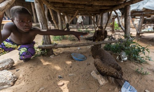 Inside the world's biggest voodoo pharmacy - PHOTO