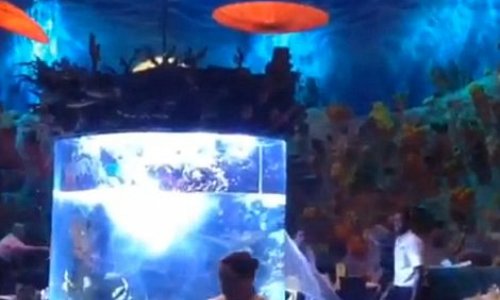 Huge aquarium BURSTS open as diners flee from Disney World restaurant - PHOTO