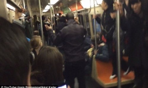 Giant rat on New York City subway scares passengers - VIDEO