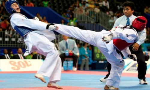 Young Azerbaijani taekwondo fighters claim 14 medals in Belgium