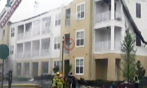 Moment cat trying to escape house fire jumps from third floor - PHOTO