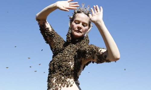 The woman who WEARS 12,000 BEES on her naked chest - PHOTO+VIDEO