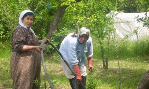 Qadınlar Ərdoğana qarşı kampaniyaya başladı - Etiraz