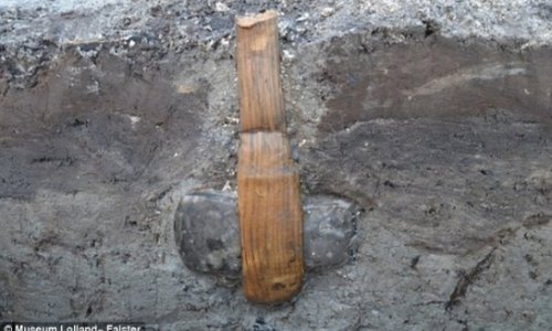 Stone Age axe discovered complete with its WOODEN handle