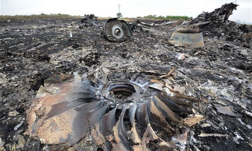 Mother of German MH17 victim takes Ukraine to human rights court