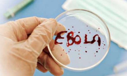 “Ebola” virusunu ABŞ icad edib - İDDİA
