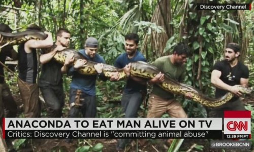 Anaconda eats man alive on Discovery Channel?