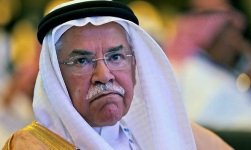 Oil price fall not Opec's fault, Gulf ministers say