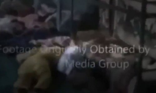 Məktəblilərin qətliam videosu yayımlandı - VİDEO