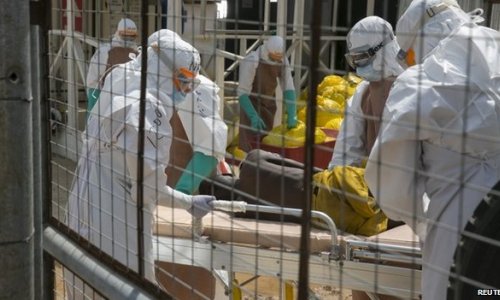 Ebola crisis likely to last a year, says expert