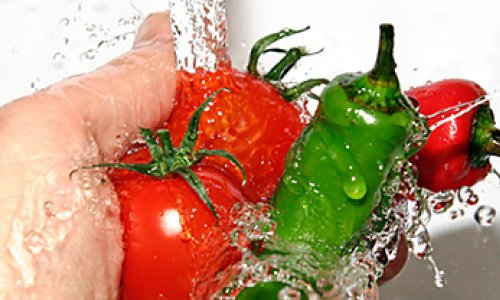 IFC helps promote food safety standards in Azerbaijan