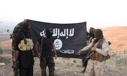 Islamic State ‘has executed 116 foreign fighters