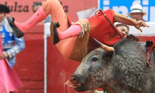 Female bullfighter gored TWICE by the same animal