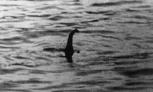 Is this finally PROOF that Nessie exists?