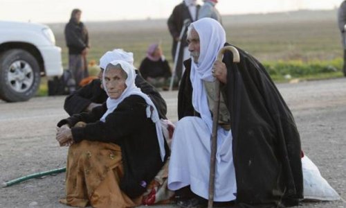 Freed Yazidis tell of girls and women being raped and sold into sexual slavery by Isis fighters