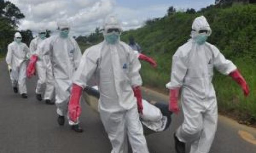 Эбола отступает