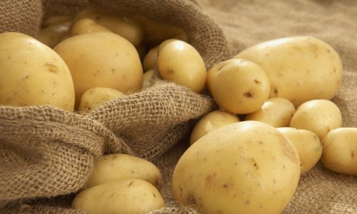 Сократилось производство картофеля
