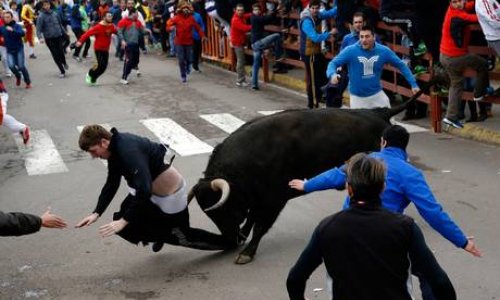 Student in intensive care after being gored by bull during Spanish festival