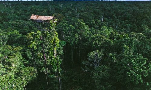 Incredible homes of the treehouse tribe