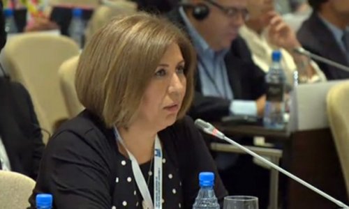 Bahar Muradova: “Bu, təhlükəsizliyimiz üçün yaxşı heç nə vəd etmir”