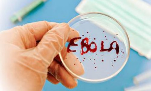 Azerbaijan to allocate $1m to fight Ebola