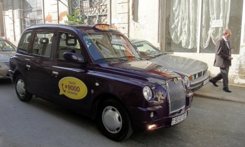 В Баку появилось такси с попугаями