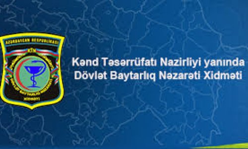 Dövlət Baytarlıq Nəzarəti Xidməti: Azərbaycanda “donuz qripi” xəstəliyi qeydə alınmayıb