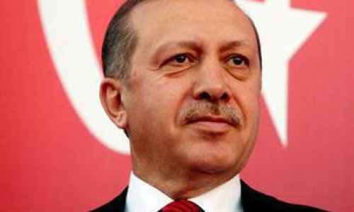 Erdogan told to 'stop interfering' in government business