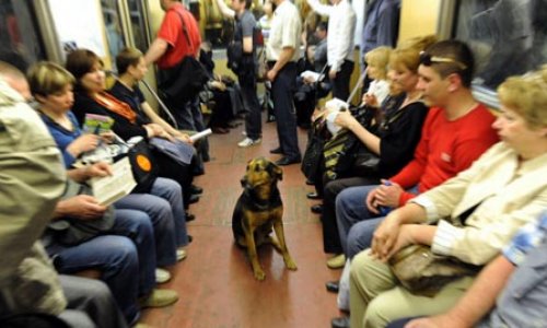 Taking a ride on the world's most envied metro system